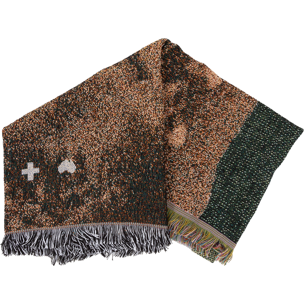 Desert Blanket