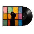 PRE-ORDER! The Most Beautiful Colours Vinyl