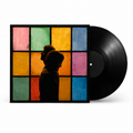 PRE-ORDER! The Most Beautiful Colors Vinyl